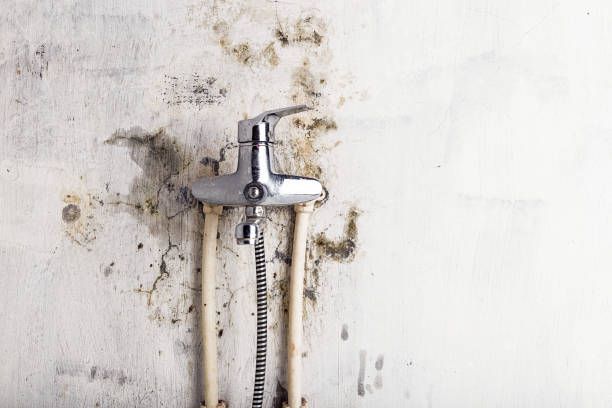 Best Toxic Mold Removal  in Kulpsville, PA
