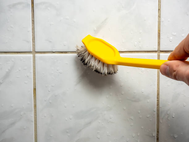 Best Mold Testing  in Kulpsville, PA