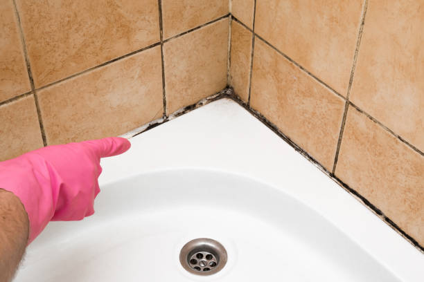Crawl Space Mold Removal in Kulpsville, PA
